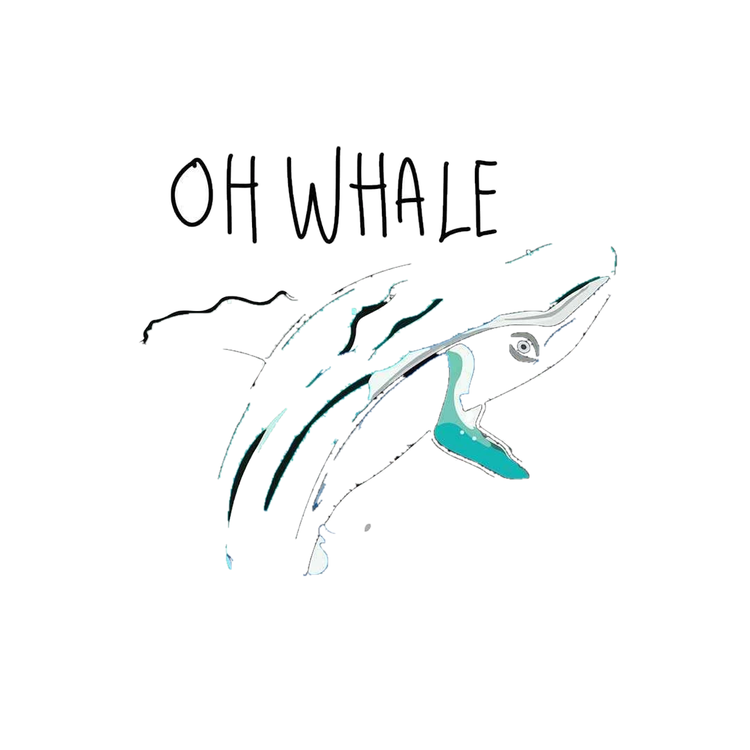 Oh whale Sticker